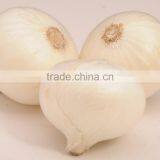 A Grade Indian White Onion Price thumbnail-1