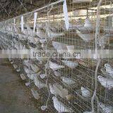 3 Layers 12 Doors Pigeon Cages for Poultry Farm thumbnail-2