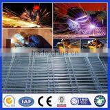 Anping Hot Dipped Galvanized Bird Cage Welded Wire Mesh Roll