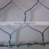 Plastic Coated Hexagonal Wire Mesh