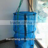 scallop lanterns scallop farming lanterns net