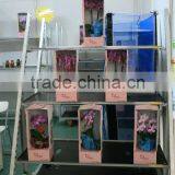 Flower Carts With Wheels / Metal Wire Basket Carts With 4 Wheels thumbnail-1