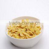 Factory in Jinan China Competitive Original Corn Flakes Machine thumbnail-5