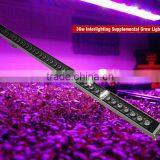 Bridgelux Spectrum King Solo Led Grow Light Newstar Sunshine Led Grow Bar Lighting thumbnail-5