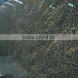 Granite Giallo California thumbnail-1