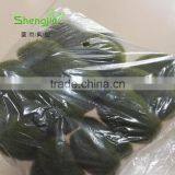 SJLJ013748 Cheap Artificial Stone Fake Plastic Stone With Moss thumbnail-4