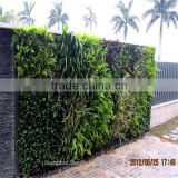 China whole sale green artificial plant wall for decoration in factory price