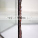 Glass Terrarium Geometric Indoor Green House Gardening House Plants thumbnail-4