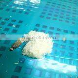 Best Season Cookedshrimp Frozen thumbnail-1