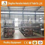 High Quality Cheap Poultry Cage Layer Chicken Used Chicken Cage thumbnail-3