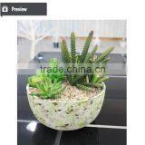 Artificial Succulents Artificial Mini Succulents Artificial Succulents Wholesale thumbnail-3