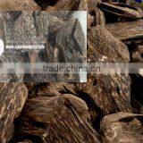 Vietnam Agarwood Chips or Oud Wood Chips New Arrival for Best Seller as Raw Material thumbnail-1