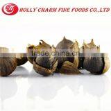 Health Food Natural Green Organic Food Solo Black Garlic 500g/bag in Top Quality thumbnail-4