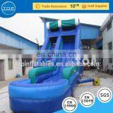 TOP Gaint Inflatable Water Slide for Sale , Inflatable Slide With Pool