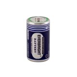 d cell 1.5v r20 batteries for water heating