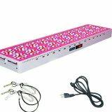 The Most Experienced Growers Like This Model CIDLY LED 900W 3W High Power Hans Panel Led Grow Light thumbnail-2