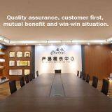 Guangzhou Chengyi Electrical Appliance Co., Ltd. company overview - view 1 thumbnail