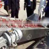 Factory Price Root Fresh Fruit Cherry Tomato Carrot Dates Cleaning Drying Washer Green Leafy Vegetable Washing Machine For Sale