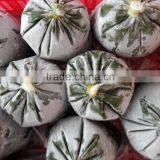 Cassava Leaves Grinding /Frozen Cassava Leaf From Vietnam