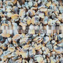 Frozen Blood Clam Meat 300/500 Scapharca Subcrenata thumbnail-2