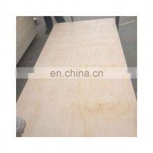 Good Quality Plywood for Package thumbnail-2