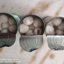 Canned Lychee thumbnail-4