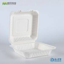 PFAS FREE Disposable Biodegradable 9*9 Take Away Sugarcane Bagasse Clamshell Container thumbnail-5