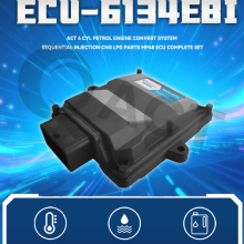 ACT CNG ECU-6134E8I MP48 ECU Kit With Fuel Burn Optimization for 4 Cyl Petrol Engine CNG LPG Conversion thumbnail-2