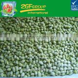 IQF frozen organic soybean kernels
