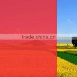 Eva Decorative Wallpaper Red Colored Solar Window Film thumbnail-3