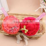 Factory wholesale warm and cute earmuffs for girls and lady