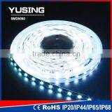 Flexible DC 12V/24V 5050 SMD White LED LED Strips