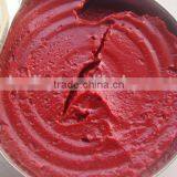 Top Quality Tinned Tomato Paste in Can Bright Red Color thumbnail-2