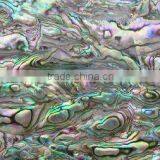 Natural Balone Paua Shell Paper Shell Sheet Shell Laminate