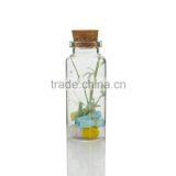 Tiny Clear Glass Jars Bottles With Cork Stoppers for DIY/Arts & Crafts/Projects/Decoration/ Party Favors thumbnail-2