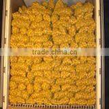 New crop potatos potato with competitive export price