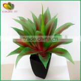 Mini Yucca Plant Bonsai Tree for Home Decoration thumbnail-2