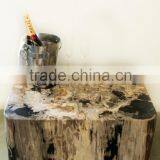 Solid Coffee Table From Petrified Wood thumbnail-1