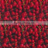 Water Transfer Printing Film GWN145 WIDTH 50CM