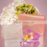 Ribbon Handle Plastic Mini Purses Style Box