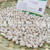 China Spanish White Kidney Beans thumbnail-1