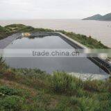 Multifunctional Hdpe Geomembrane for Anhui Elite With High Quality thumbnail-6