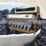 Low Price Excellent Quality High Output 384 Channels CE Certificated Black Currant Ccd Color Sorter Machine
