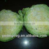 fresh cabbage from China (green & purple)