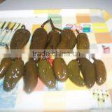 Good Quality Canned Pickle Green Chili Pepper thumbnail-3