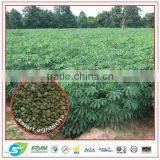 Fertilizer Premium Grade High Granular Organic Matter NPK OM20% thumbnail-1