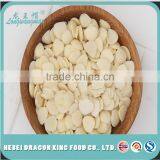 Chinese Apricot Kernels Raw Bitter and Sweet Apricot Kernels/Slices