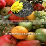 China Water Soluble Humic Acid Boron (BHA) Supplier