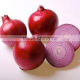 Fresh Red Onion thumbnail-3