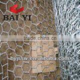 Gi Chicken Wire Mesh